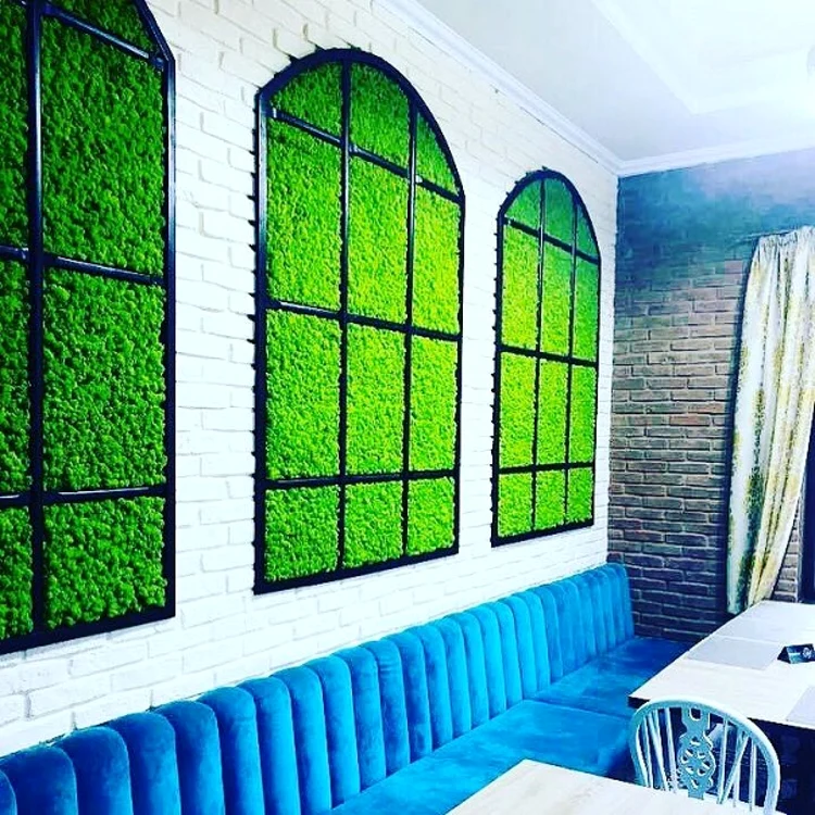 Pereţi decoraţi cu licheni     Foto: Arhiva personală Raluca Săcui