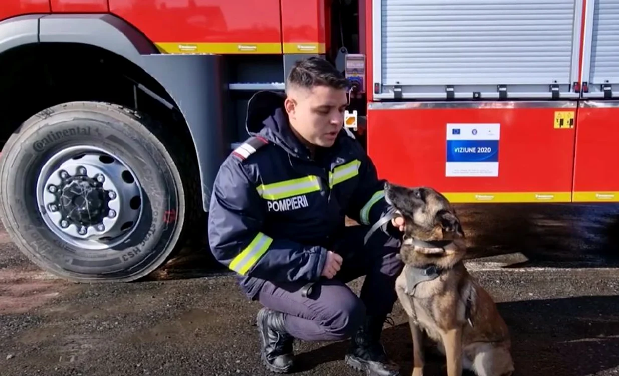 Cîine antrenat la Sibiu. FOTO captură video Agerpres