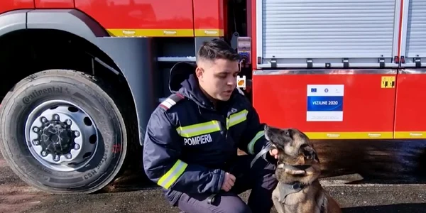caini sibiu Captura Agerpres jpg