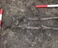 Descoperiri arheologice într-o necropolă sarmatică din Timișoara (© Direcția Județeană de Cultură Timiș)