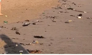 jeg bali mizerie jpg
