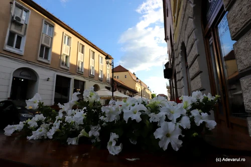 Baia Mare Foto Daniel Guță ADEVĂRUL (10) JPG