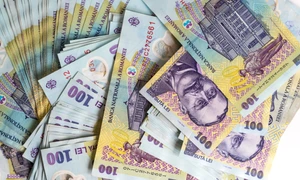 Titluri de stat FIDELIS, foto Shutterstock jpg
