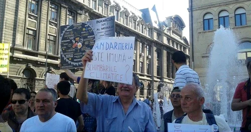 proteste fata de defrisarea padurilor in bucuresti foto vlad epurescu