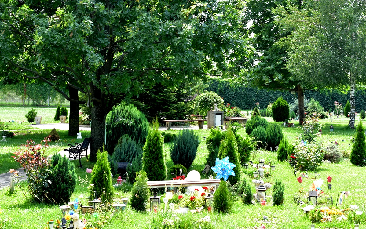 Cimitir de animale. Sursa: Raiul Animalelor. Facebook