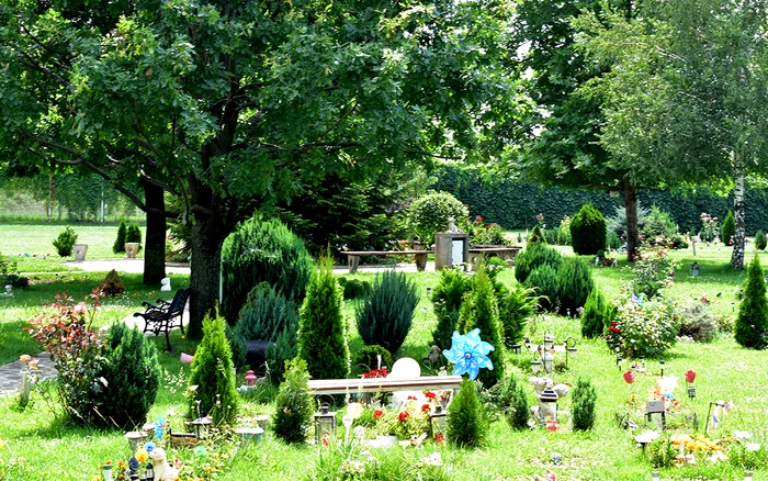Cimitir de animale. Sursa: Raiul Animalelor. Facebook