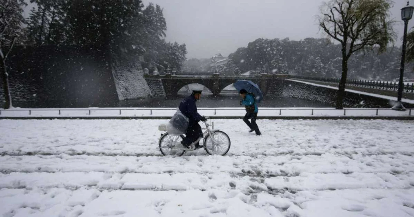 În Tokyo numeroase automobile şi pietoni au fost blocaţi de ninsorile puternice     Foto Reuters