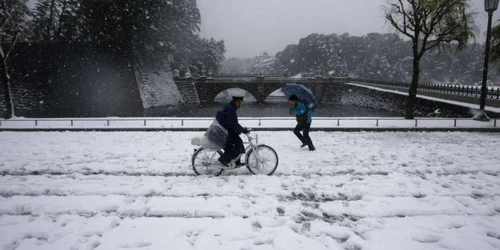 În Tokyo numeroase automobile şi pietoni au fost blocaţi de ninsorile puternice