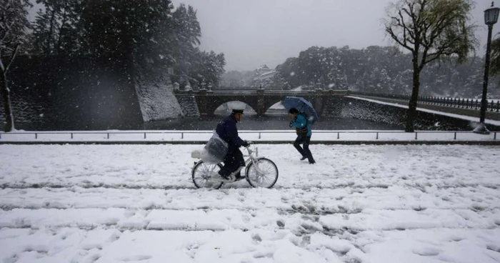 În Tokyo numeroase automobile şi pietoni au fost blocaţi de ninsorile puternice Foto Reuters