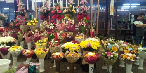 Piaţa de flori Timişoara