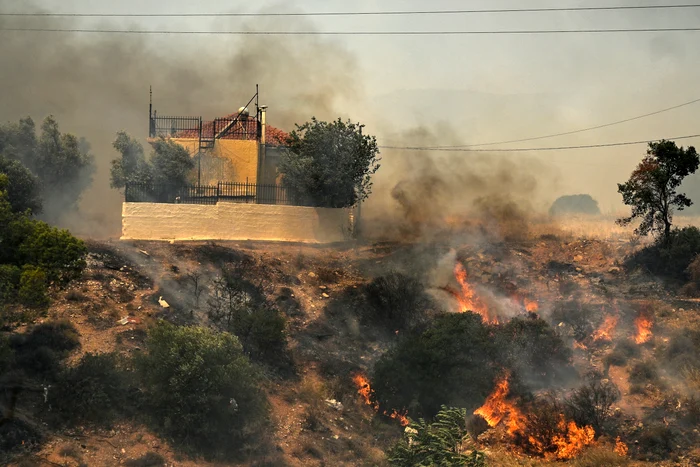 Incendii vegetație Grecia FOTO AFP