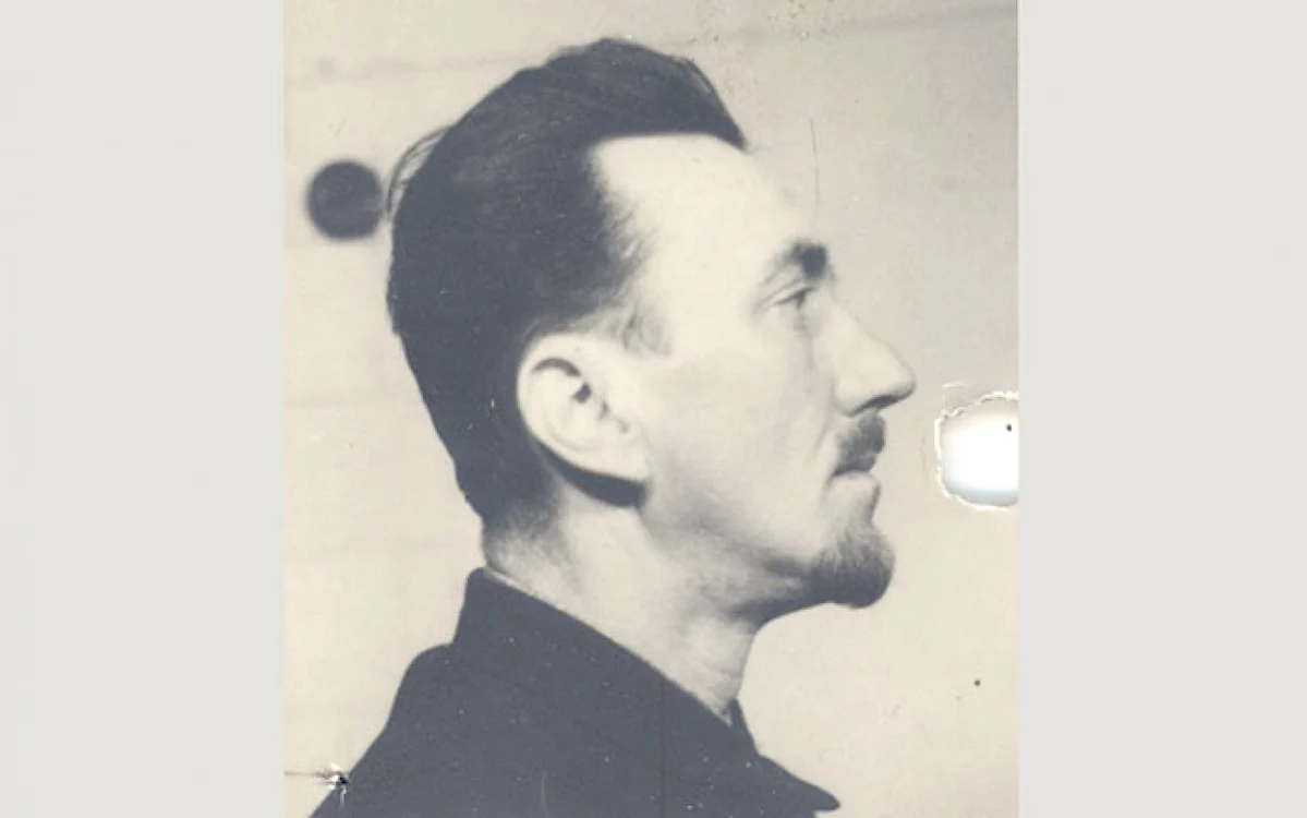 nicolae andreescu