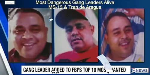 Lider Tren de Araguas Captura AllScops Media png