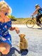 Quokka   animal jpg