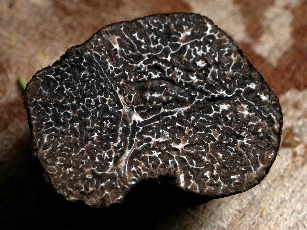 Trufele sunt denumite diamantele pământului / foto: Pixabay