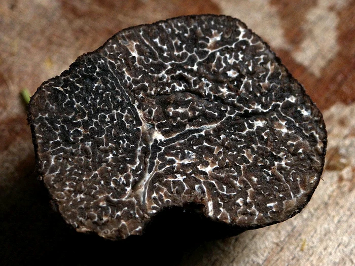 Trufele sunt denumite diamantele pământului / foto: Pixabay