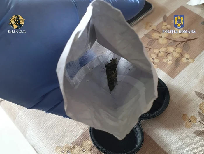 Drogurile găsite în Olt SURSA Poliția Română