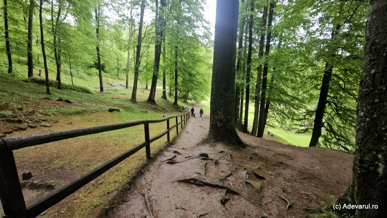 Drumul antic pavat. Foto: Daniel Guță. ADEVĂRUL