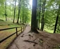 Sarmizegetusa Regia Foto Daniel Guță ADEVĂRUL (108) jpg