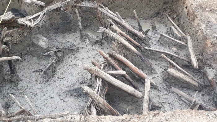 Ziua Porților Deschise la situl arheologic Beclean - Băile Figa, din Bistrița-Năsăud (foto: Muzeul Național al Carpaților Răsăriteni)