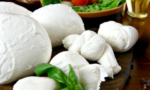 mozzarella jpeg