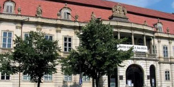 Cluj: TIFF strânge bani pentru Palatul Banffy