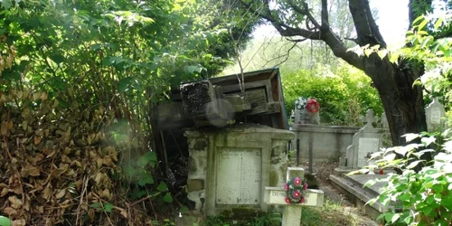 cimitir lupeni foro iosif bodo