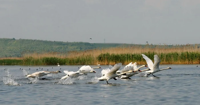 Colţul de Rai de la Larga Jijia Foto: Dan Luca