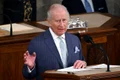 regele charles în Congres/FOTO:X