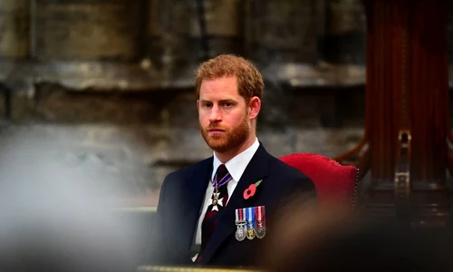 printul herry imbracat civil jpeg