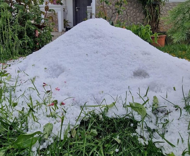 Agricultorii din Dâmbovița cer sisteme antigrindină în urma prăpădului din ziua de Paște FOTO VIDEO