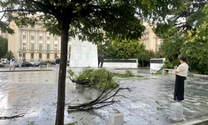 furtuna Bucuresti 2 jpg