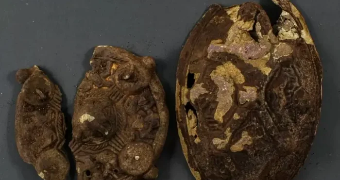 Relicvele descoperite de familia din Norvegia FOTO bbc.com