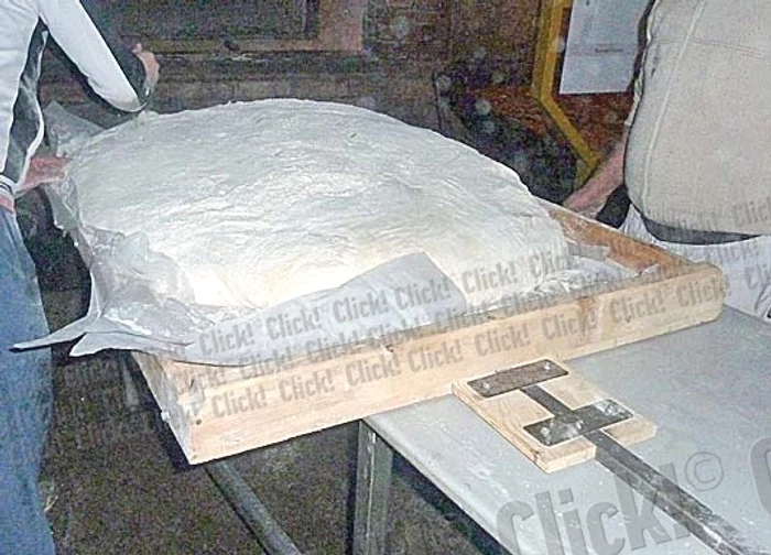 Coca a stat la dospit vreme de două ore