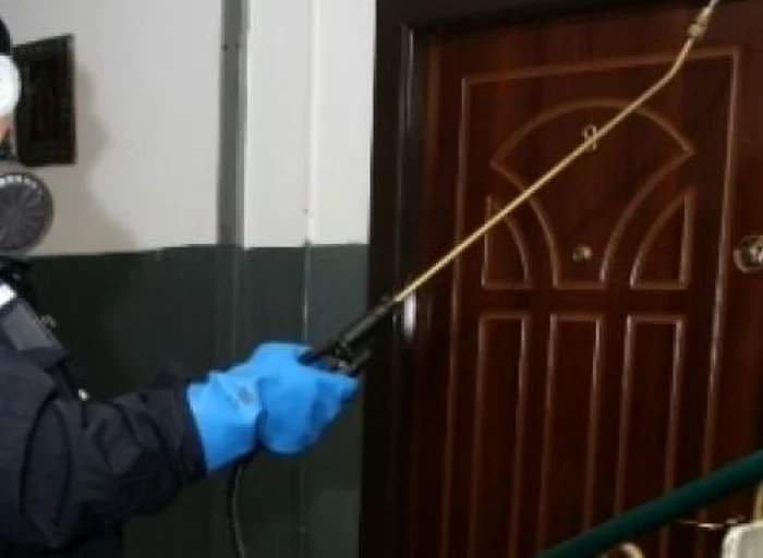 Hotii au spus ca deratizeaza casa   Foto: Arhiva Adevărul