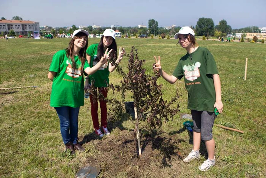 proiectul EcoChampions