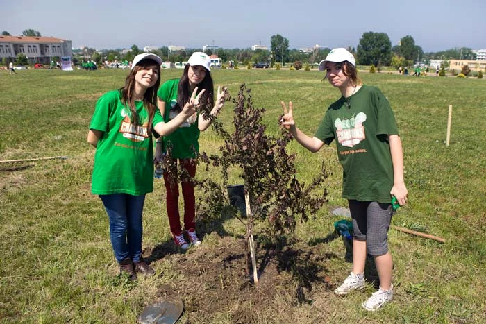 proiectul EcoChampions