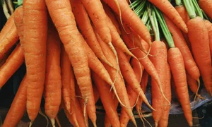 click harshal s hirve yNB8niq1qCk unsplash jpg