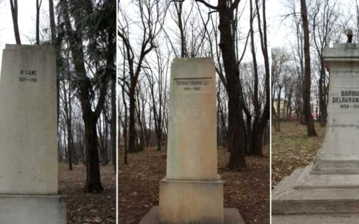 statui iasi