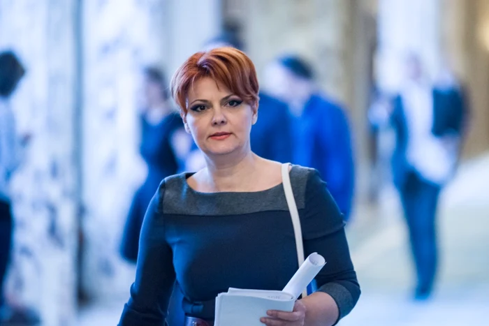 Ministrul Muncii, Lia Olguţa Vasilescu, este aşteptată să vină la lucrările comisiilor de specialitate. FOTO gov.ro