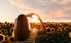 back view woman making heart shaped hands sunset jpg