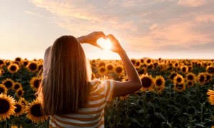 back view woman making heart shaped hands sunset jpg