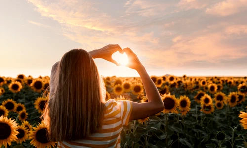 back view woman making heart shaped hands sunset jpg