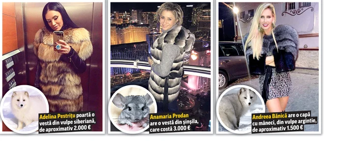 Designerul Flora Năstase a analizat, pentru Click!, ținutele de lux ale divelor, a căror sumă totală ajunge la 18.500 de euro