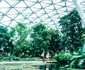 12 changi airport 0 jpg jpeg
