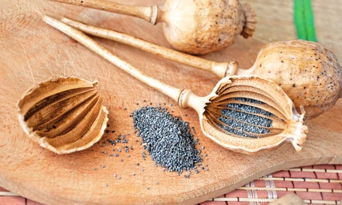 9028305   penetrated the head and poppy seeds  the kitchen still life  jpeg