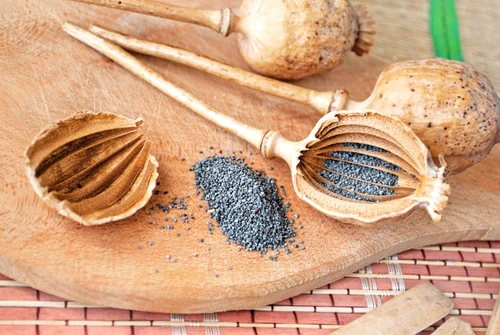 9028305 penetrated the head and poppy seeds the kitchen still life jpeg