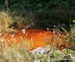 Fosta exploatare minieră Barza Foto Daniel Guță ADEVĂRUL (4) jpg