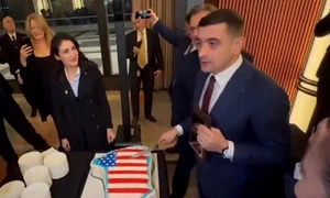 simion tort groenlanda jpg