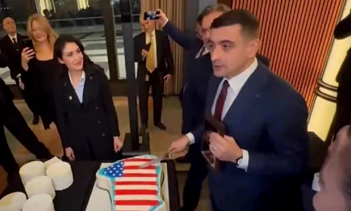 simion tort groenlanda jpg